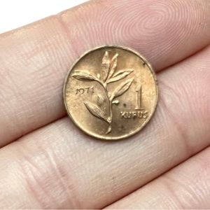 🎈$5 add on - 1971 Turkish 1 Kurus Coin - Bronze